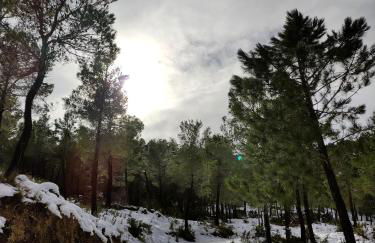 Finca La Celada - Foto 6