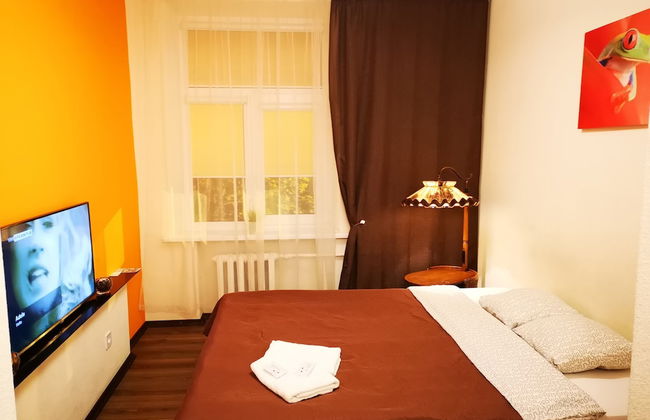 Orange Studio - Photo 13