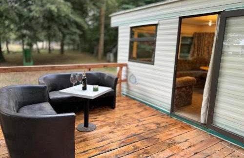 Holenderek Agro-Stajnia - Foto 7