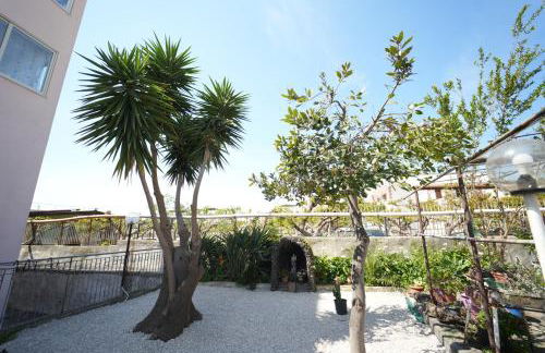 Don Antonio - Foto 59