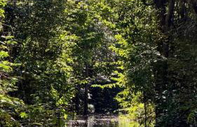 Casa ampla com jardim e 3 suítes em Novo Airão - Foto 39