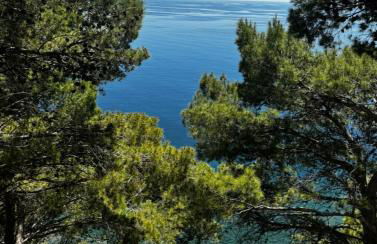 A casa di Ludo - Foto 1