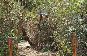 Libélula Eco Loft - Foto 6