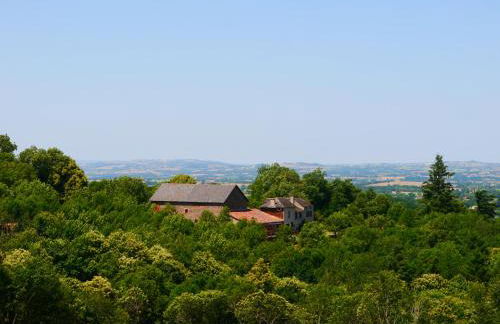 Les Gîtes de Roucayrols - Foto 7