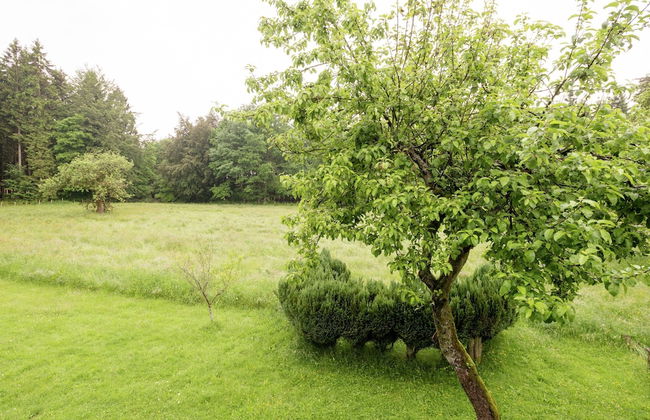 Rustic Retreat in Houvegne - Photo 24