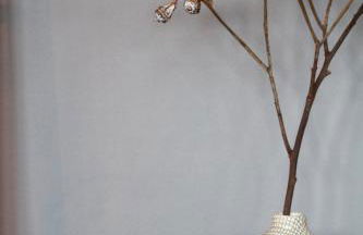 Junior Suite The Backyard TBY 01 - Foto 3