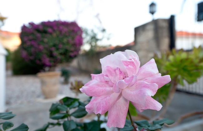 Bungalow Blue Waters by Amy Villas - Foto 32