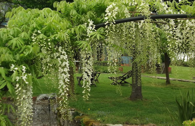 Son de Mar Hotel rural & Apartamento - Foto 30