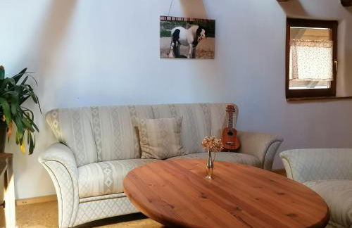 Bauernhof Lisa Offenstall und Taubenschlag - Foto 10