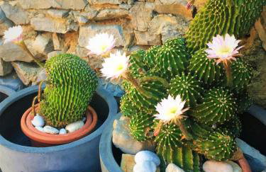 Apartments House Barbara - Foto 50