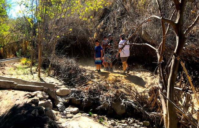 Pica Oasis Hiking Tour - Photo 2