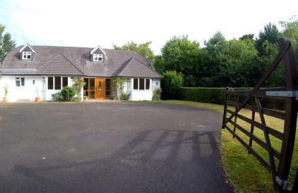 The Dorset Resort - Photo 128