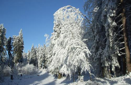 Ferienwohnung Hankeln - Foto 45