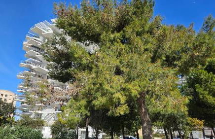 Arbre Blanc, une folie montpelliéraine - Photo 54