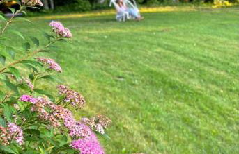 MapleCastle == HotTub, RiverSide, IndoorHummock, FirePlace, BackYard - Foto 65