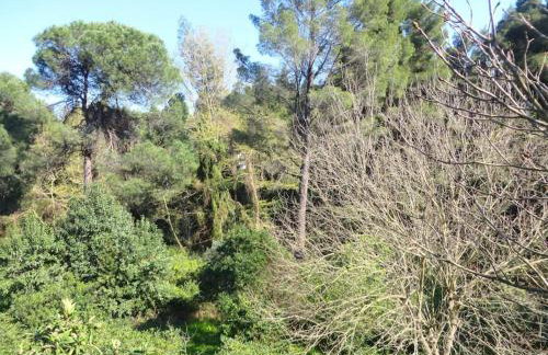 Spacious Villa close to an amazing Sithonia beach - Foto 28