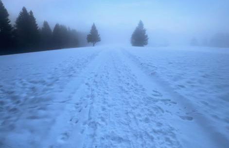 HAUS AM SEE - Natur Pur - Foto 72