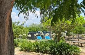 Villa Ammaliante - Foto 9