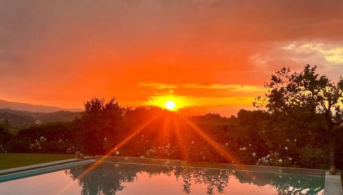 VILLA GIOTTO Florence - Foto 4