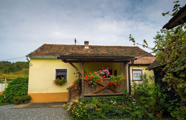 Country House Stara Kapela - Foto 34