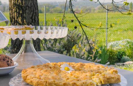 agriturismo" il glicine bianco" - Foto 25