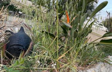Superbe terrasse avec vue panoramique sur la mer - Foto 70