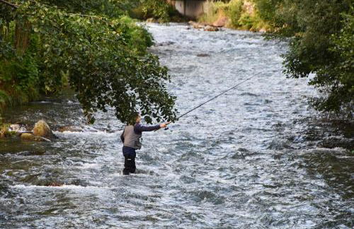 Maison Marguerite - Photo 43