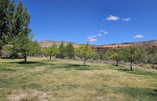 Guest House - Foto 23