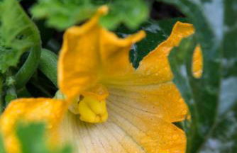 Park House Hotel - Foto 60