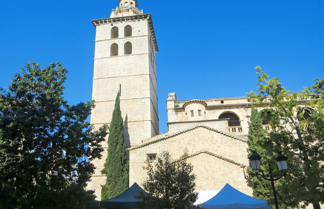 Son Catlar - Photo 34