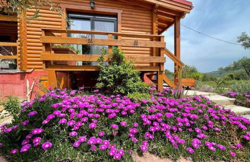 The lodge guest house - Foto 16