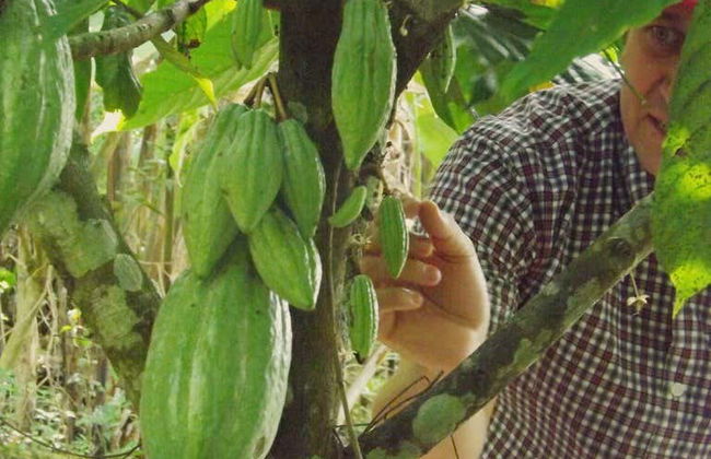 Visite de la ferme de Mama Lulu - Photo 4