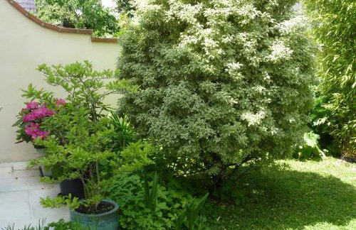 Gite aux Minimes - Au jardin des alouettes - Foto 11