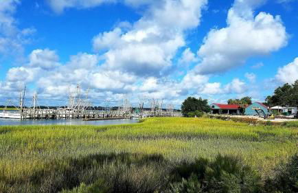 New Listing - Historical Home in Mossy Oaks - Foto 37