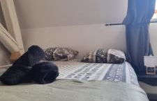 Lia parking rénové proche cité congrès 24m2 - Foto 15