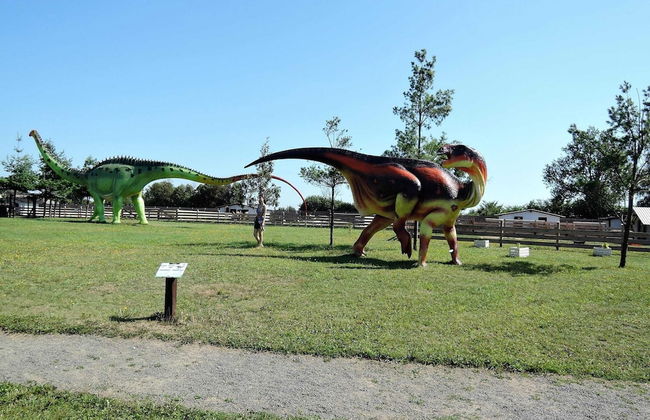 Pretty Bungalow in Wrzosowo With Garden - Photo 41