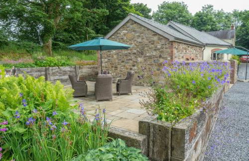 Creigiau Cottage Llansteffan - Photo 11