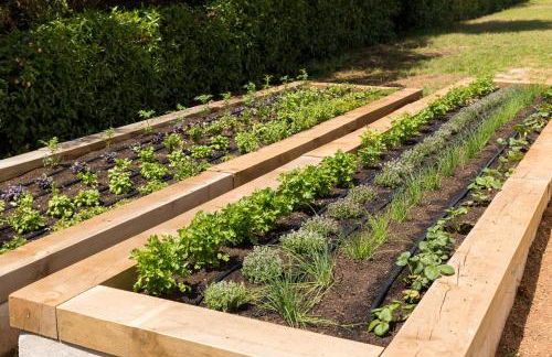 MarSenses Paradise Club Hotel - Foto 26