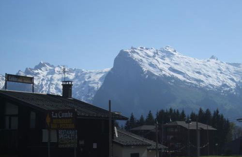 Chalet montagne 11 p Grand Massif 100 m télécabine - Photo 15