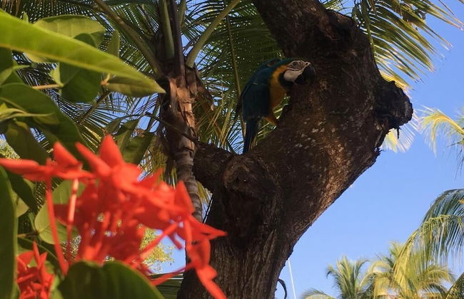 Cabañas Aqua Blue - Photo 23