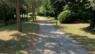 Olatua La vague votre havre Basque à la mer - Foto 4, Garden view