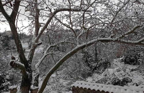 Βίλα Αρμονία Ορεινή Κορινθία - Foto 38