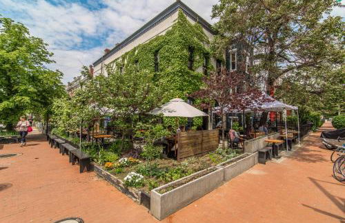 Stylish Renovated Flat, Central, Walk to DC Sights - Foto 21