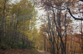 Ruhe am See - Photo 15