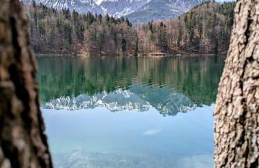 Leas Alpennest - Photo 27