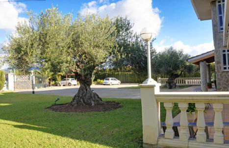 Villa Velo - Foto 13