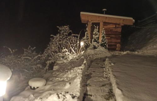 Natur Apartments Riesen - Photo 27