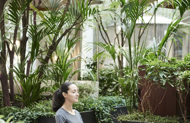 Mandarin Oriental, Paris - Foto 64