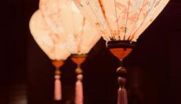 La Séduisante - Foto 3