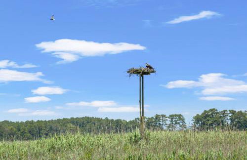 Creek House - Waterfront Oasis on Holden - Foto 7